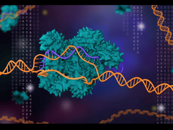 RAZONES PARA ESTUDIAR QUÍMICA:                                        CASO CRISPR –&nbsp;Cas9.